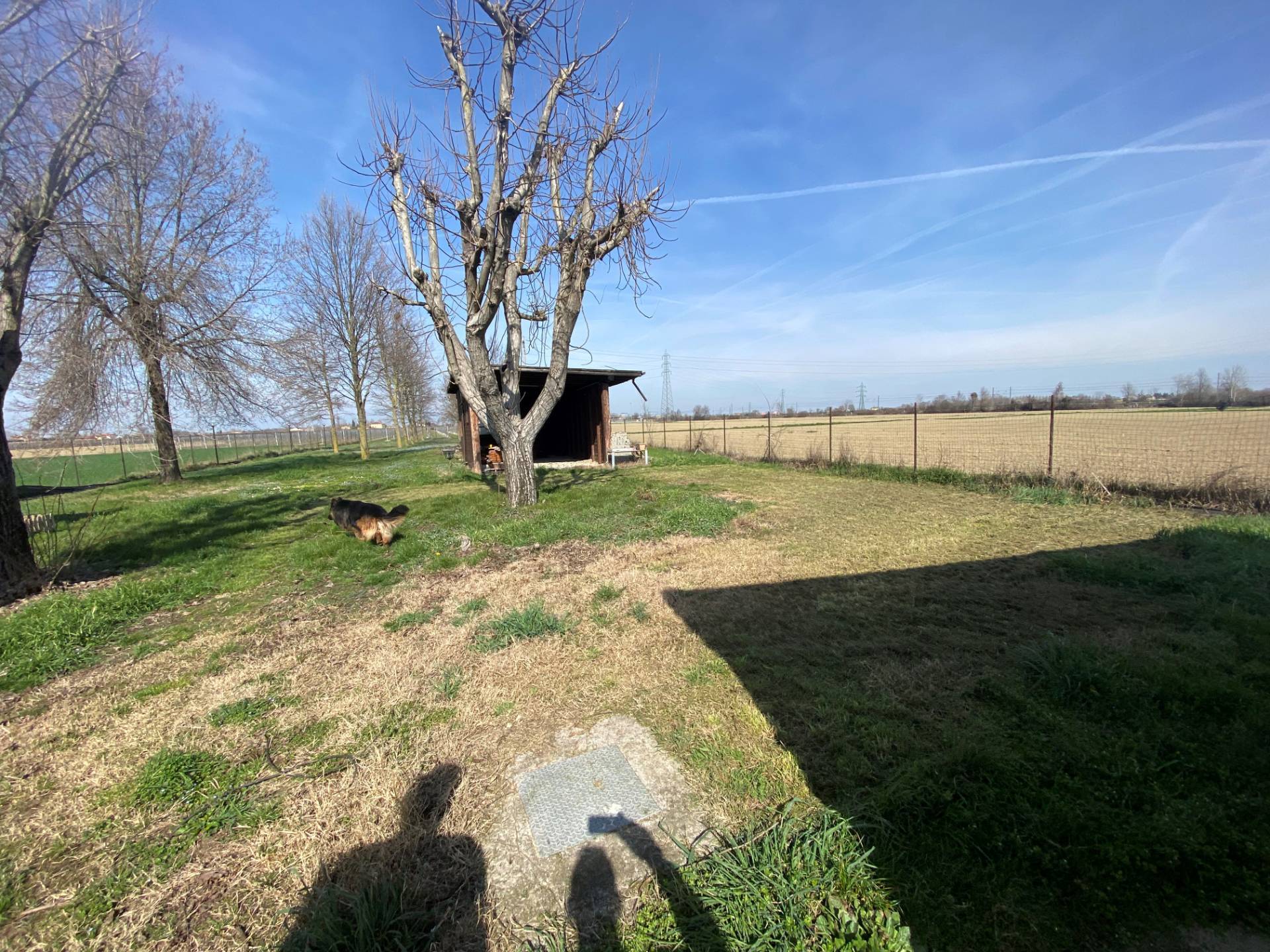 Villa in vendita a Mirandola