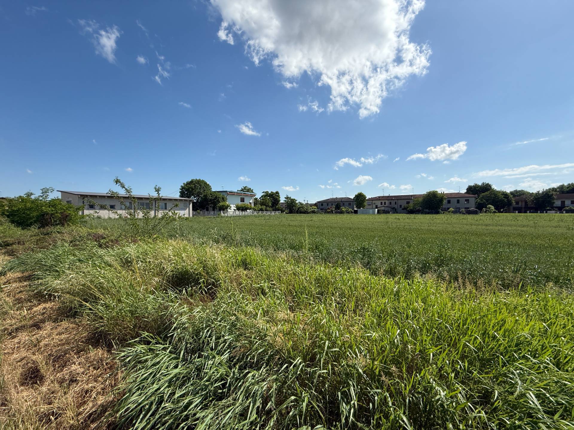 Terreno Edificabile in vendita a Magnacavallo