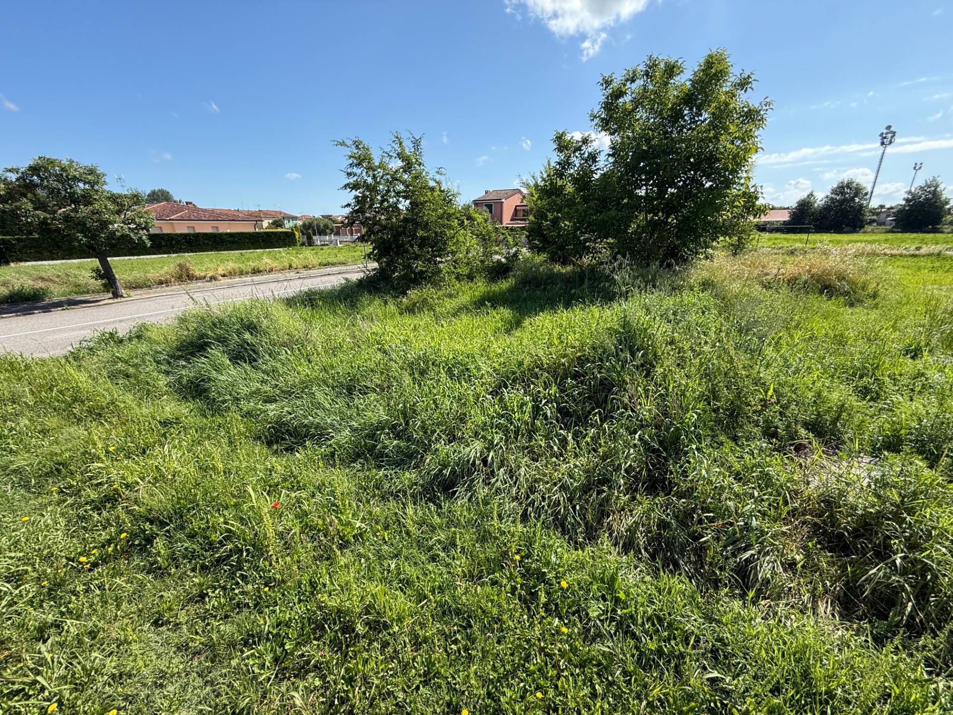 Terreno Edificabile in vendita a Magnacavallo