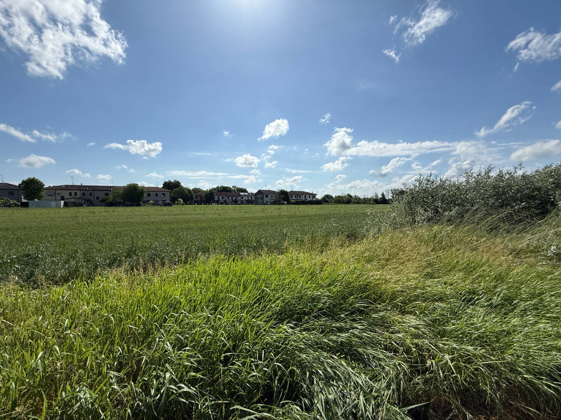 Terreno Edificabile in vendita a Magnacavallo