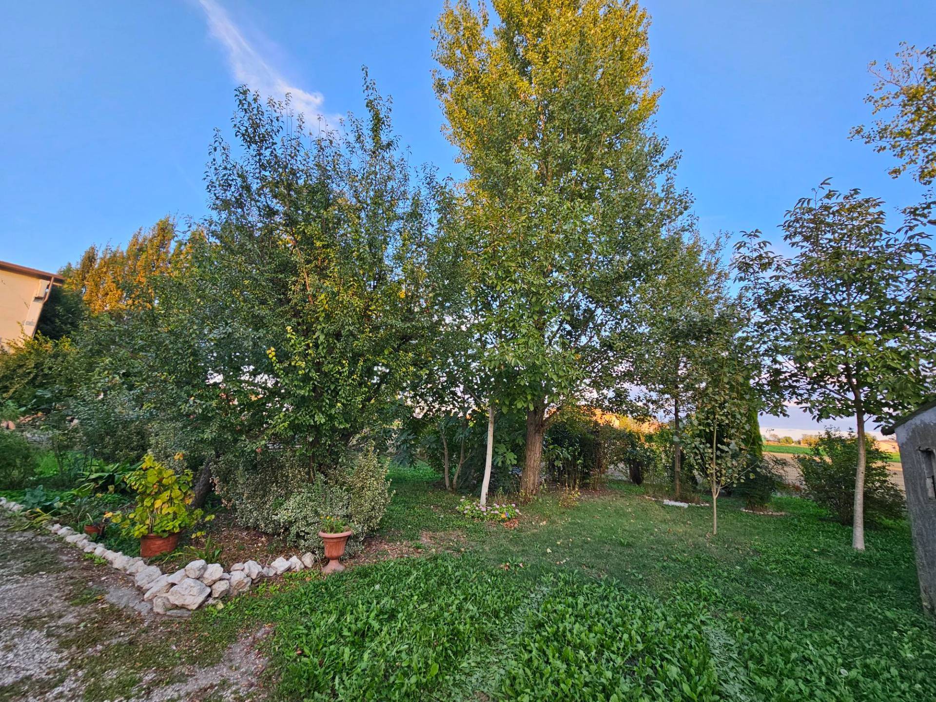 Porzione di Casa in vendita a Mirandola, Gavello