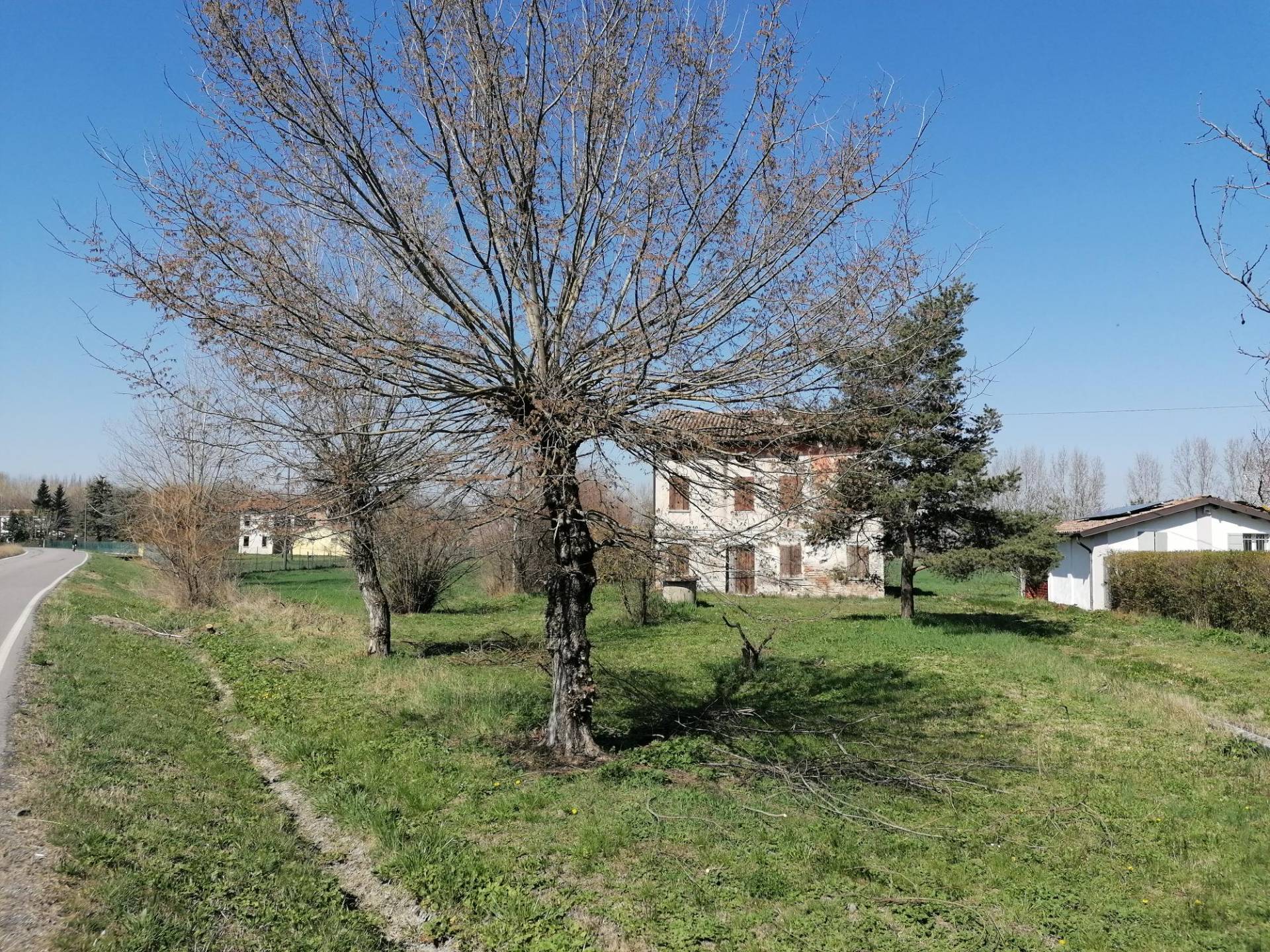 Terreno Edificabile in vendita a Mirandola