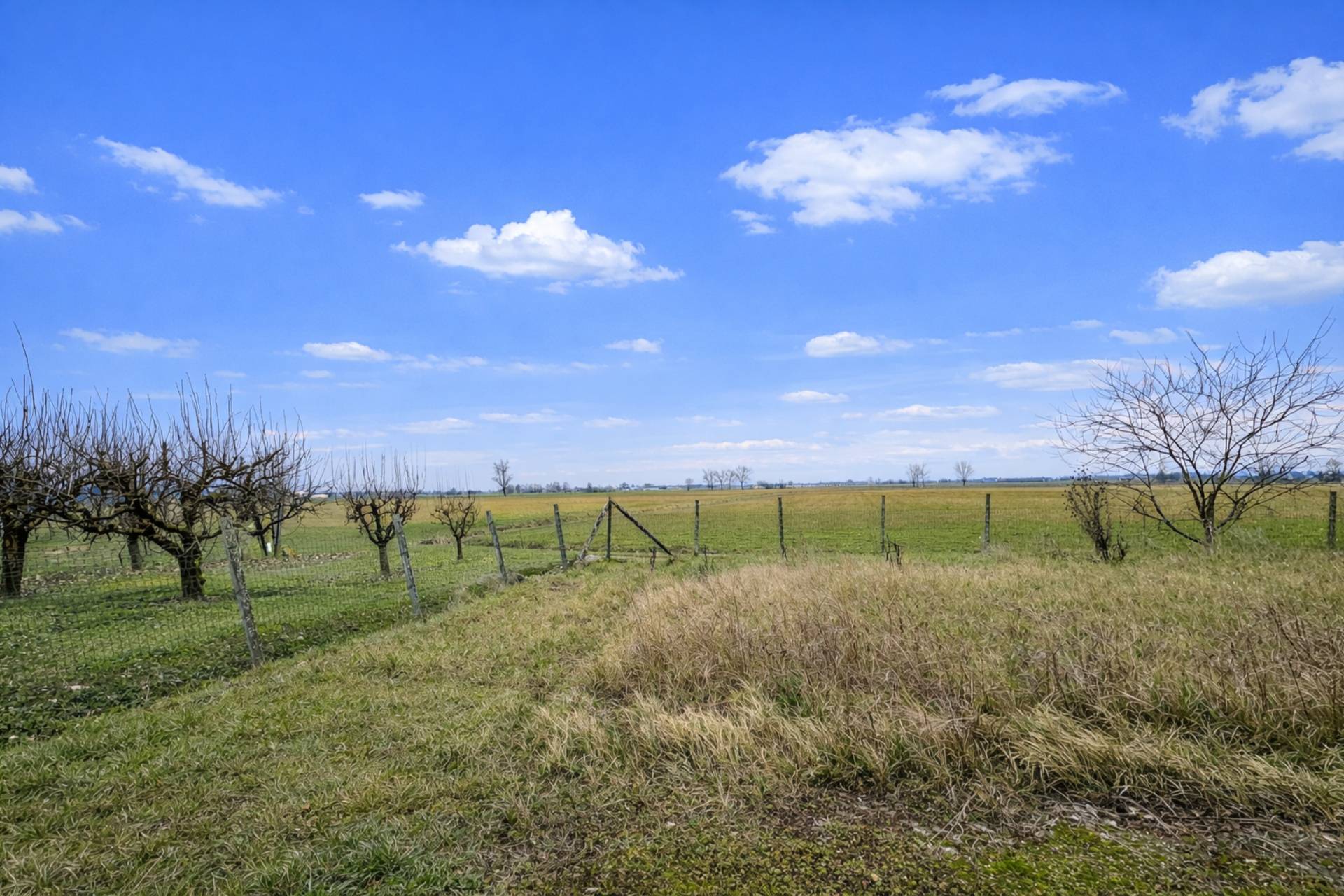 Appartamento con Ingresso Indipendente e Giardino Privato in vendita a Concordia sulla Secchia, Vall