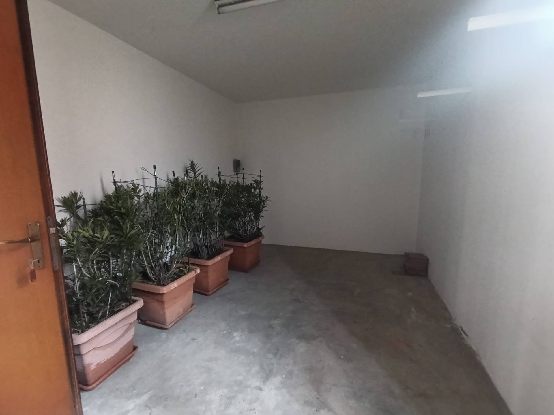 Porzione di Casa in affitto a Cavezzo