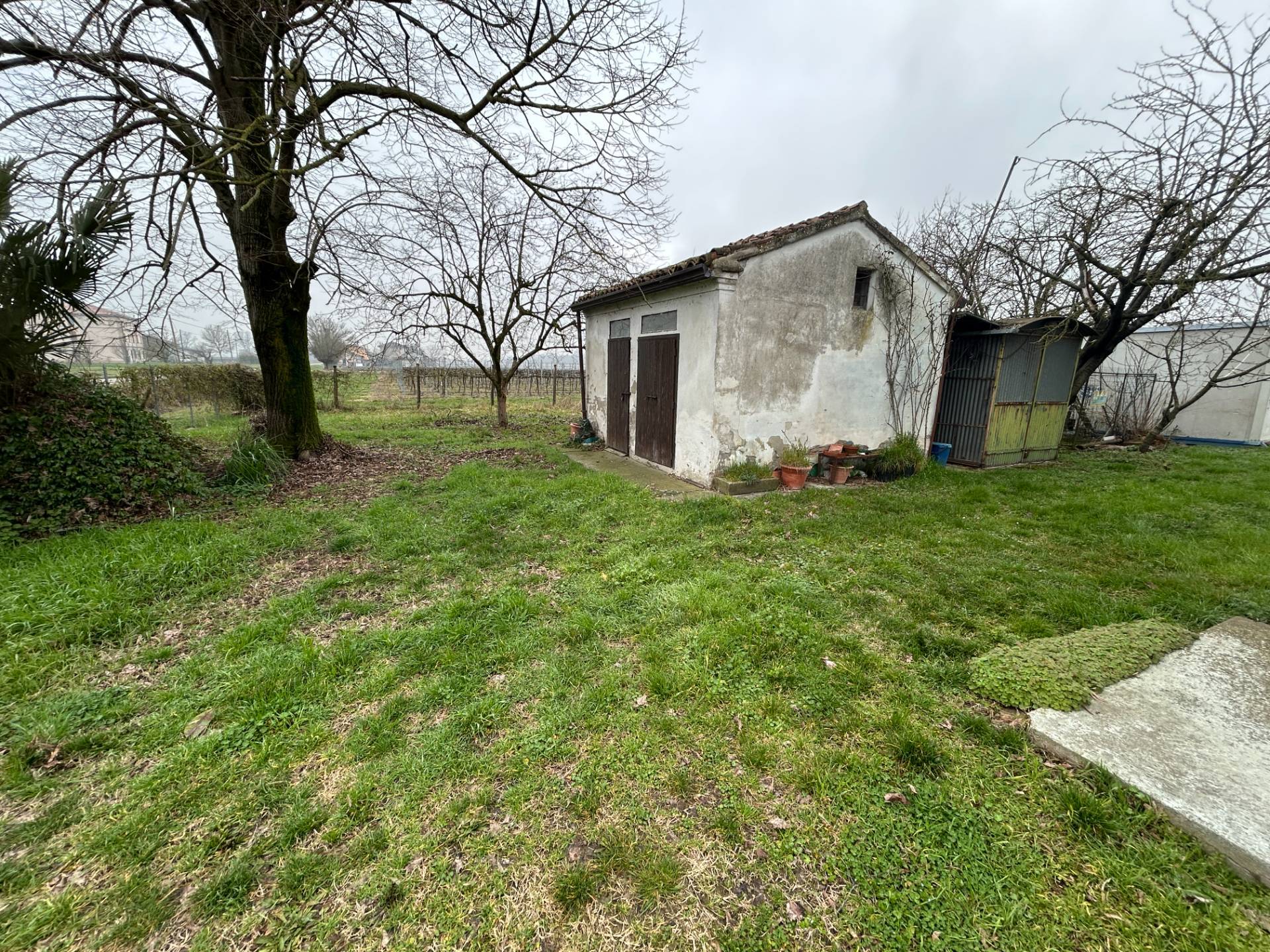 Villa Singola in vendita a San Giacomo delle Segnate