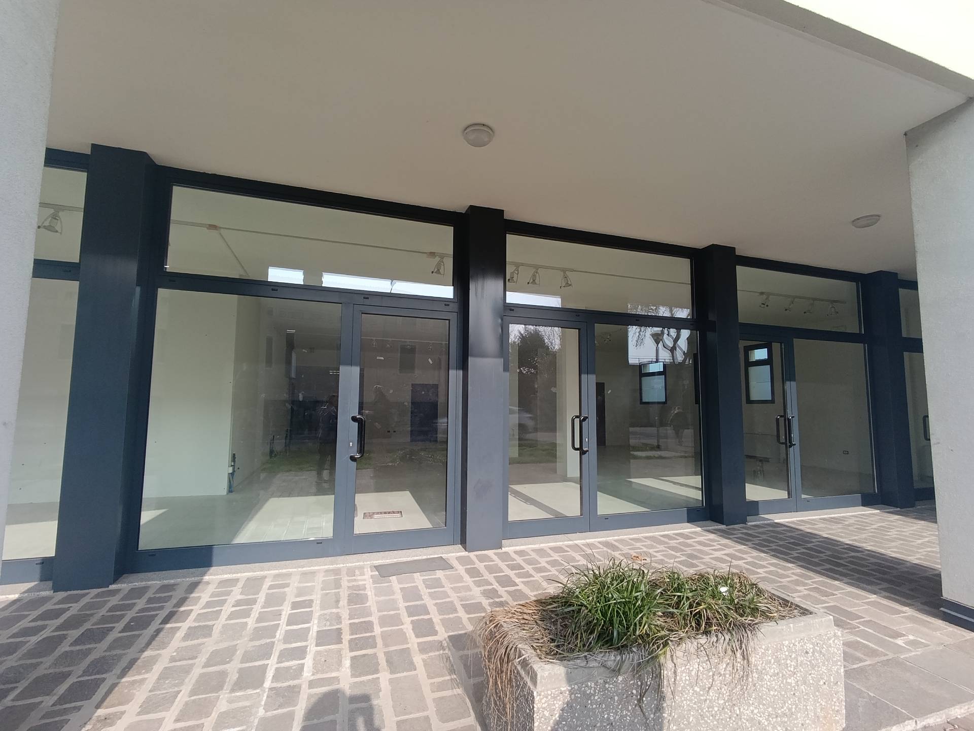 Studio/Ufficio in affitto a Cavezzo