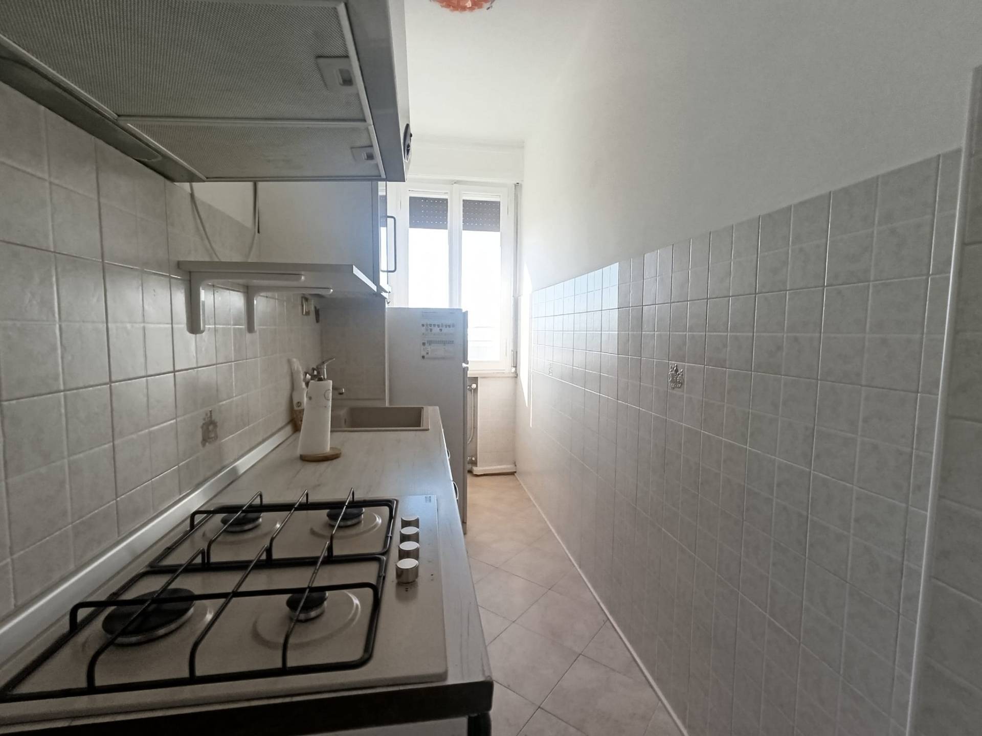 Appartamento in affitto a Mirandola