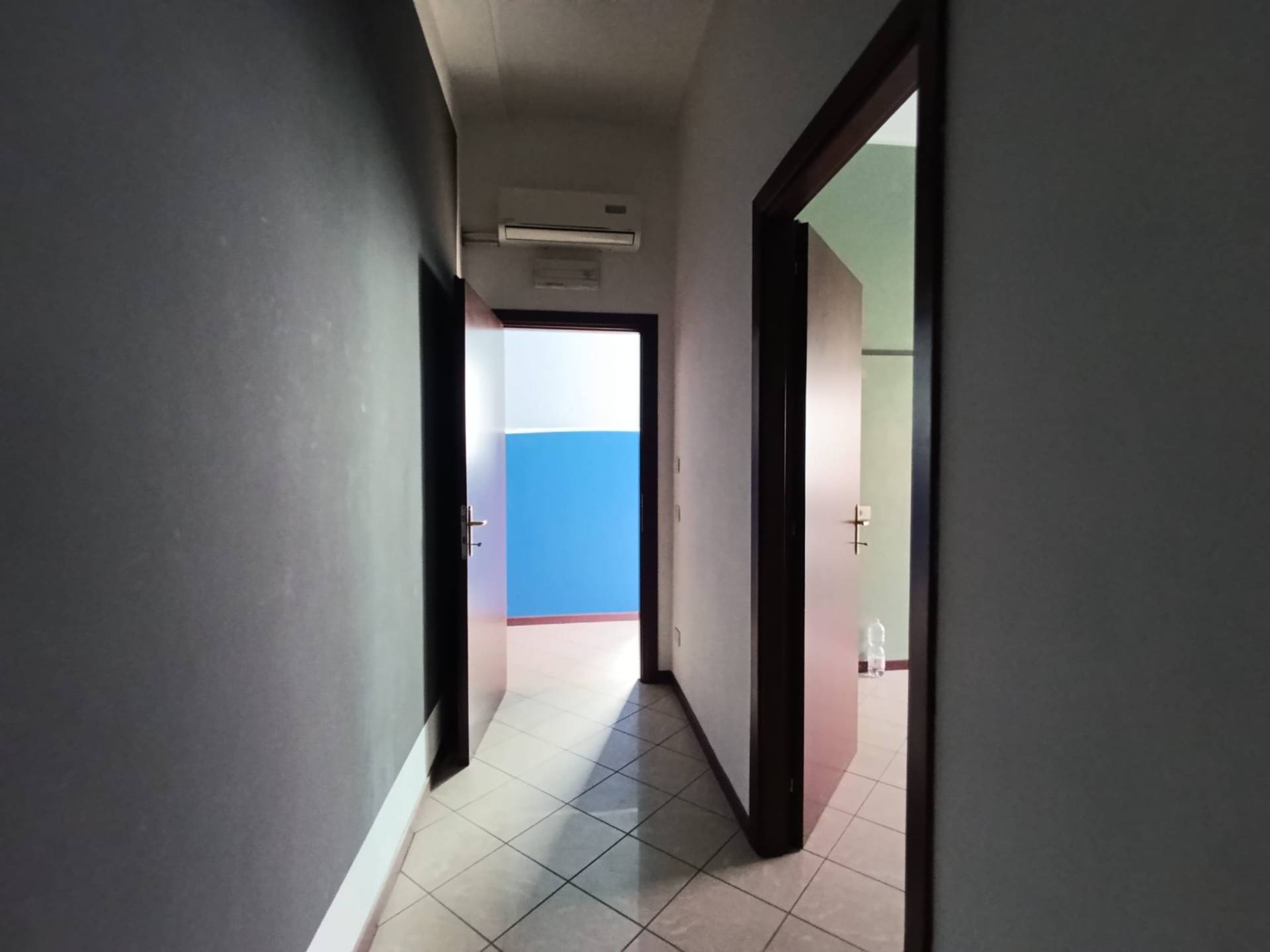 Attivit commerciale in affitto a Cavezzo