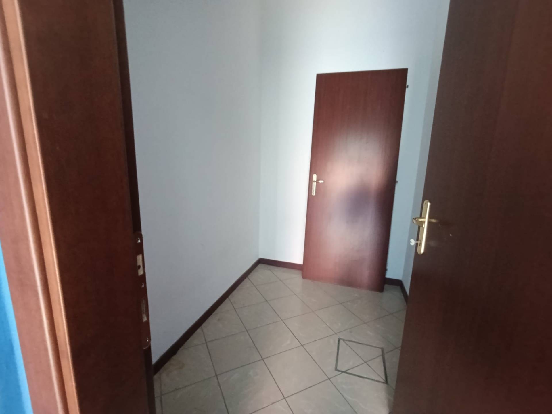 Attivit commerciale in affitto a Cavezzo