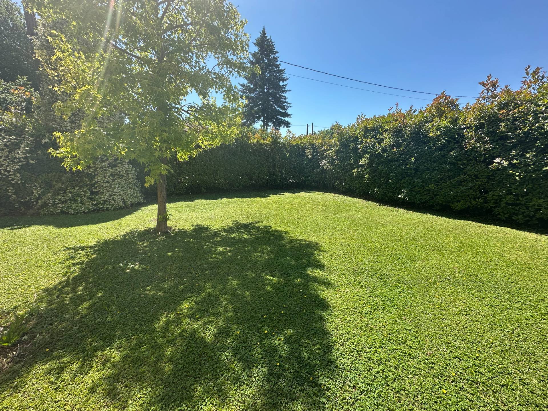 Villa di Testa in vendita a Medolla