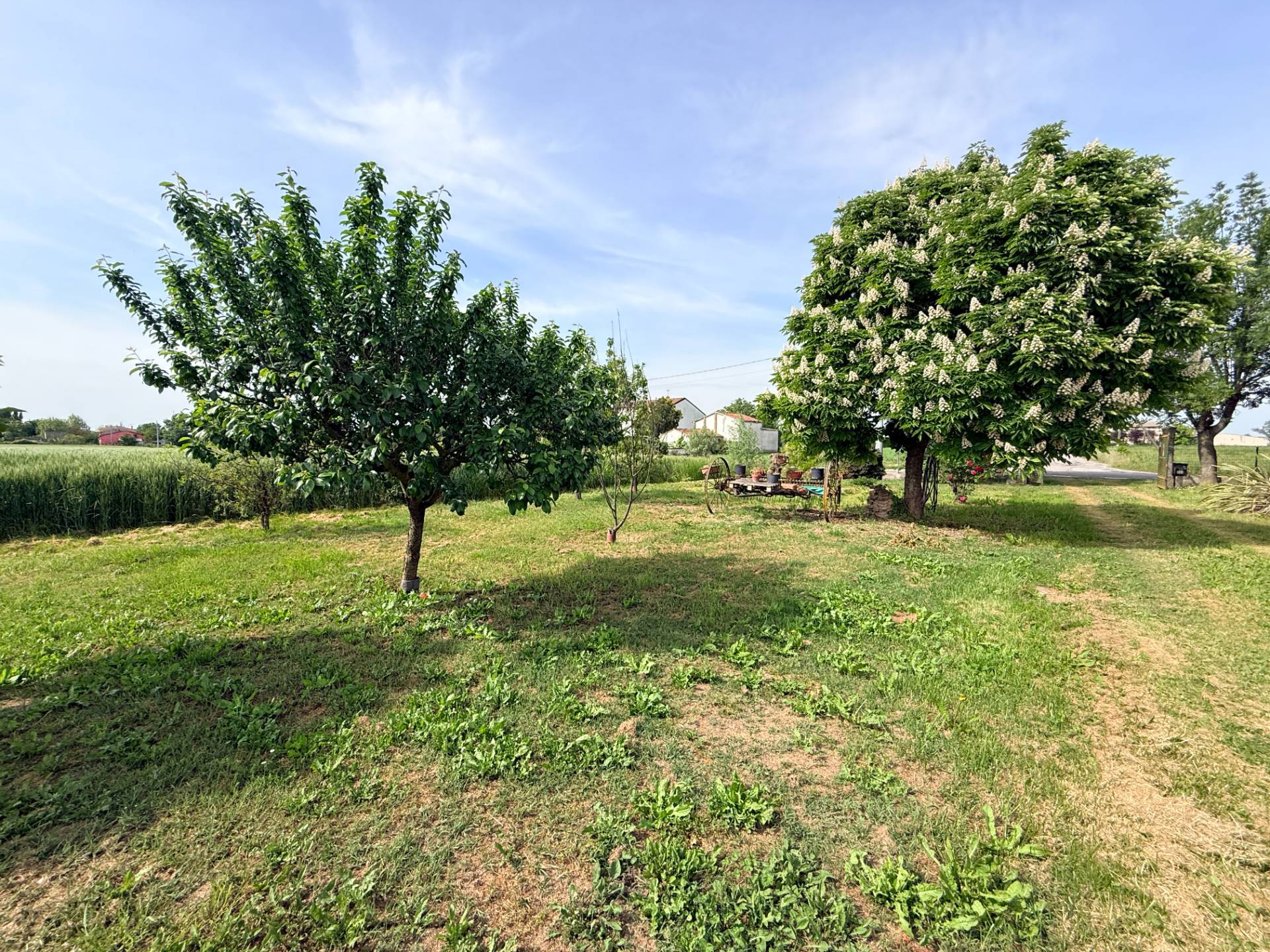 Casa Singola in vendita a Magnacavallo, Agnolo