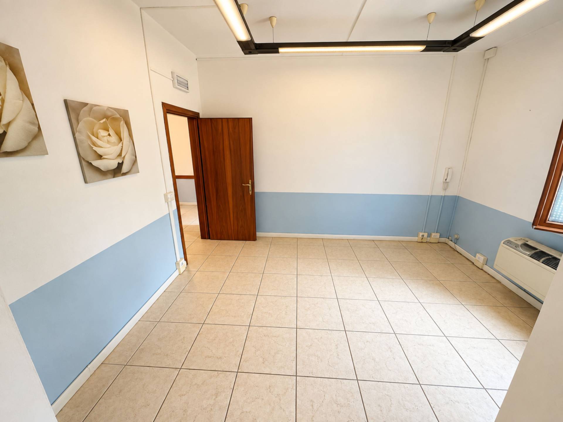Appartamento al Piano Terra in vendita a San Felice sul Panaro