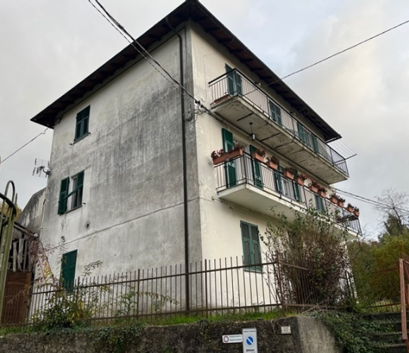 immagine annuncio 2 di 6