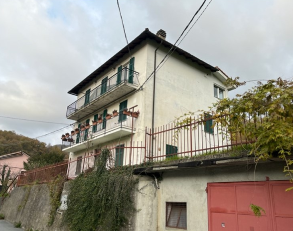 immagine annuncio 3 di 6
