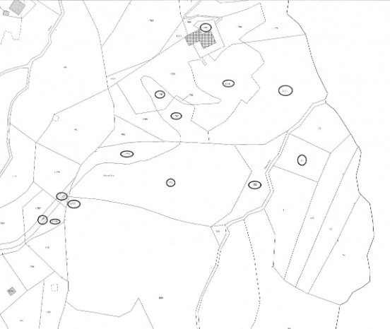 Terreno Agricolo in vendita in via geminiano snc, Genova