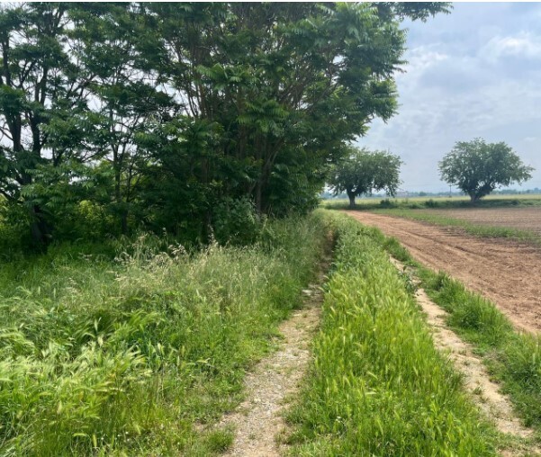 Terreno Edificabile da ristrutturare in via frugarolo 94, Alessandria