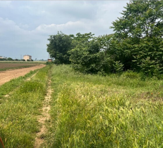 Terreno Edificabile da ristrutturare in via frugarolo 94, Alessandria