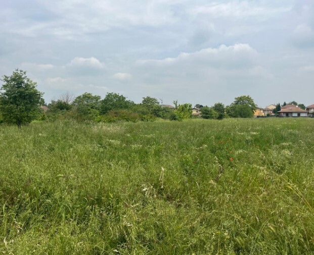 Terreno Edificabile da ristrutturare in via frugarolo 94, Alessandria