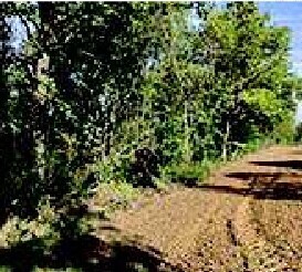 Capannone da ristrutturare in cascina bricco snc, Quattordio