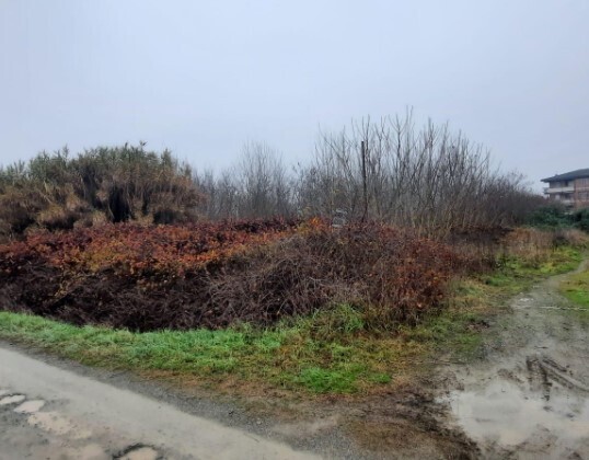 Terreno Edificabile da ristrutturare in regione fontane snc, Strevi