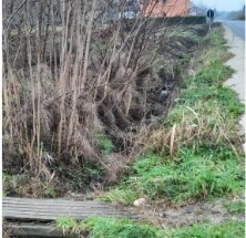 Terreno Edificabile da ristrutturare in regione fontane snc, Strevi