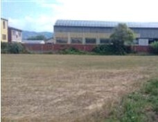 Terreno Edificabile da ristrutturare in via pedemonte snc, Arcola