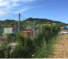 Terreno Edificabile da ristrutturare in via pedemonte snc, Arcola