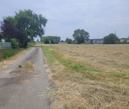 Terreno Edificabile da ristrutturare in via bartolomeo maino 4, Alessandria