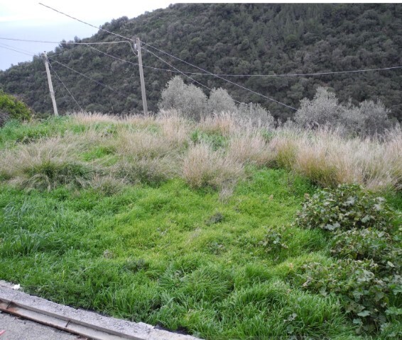 Villa con giardino in via martinazzi 49, Camporosso