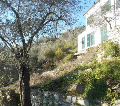 Villa con giardino in via iv novembre snc, Leivi