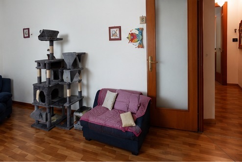 Appartamento con terrazzo in via vecchia frabosa snc, Villanova Mondov�