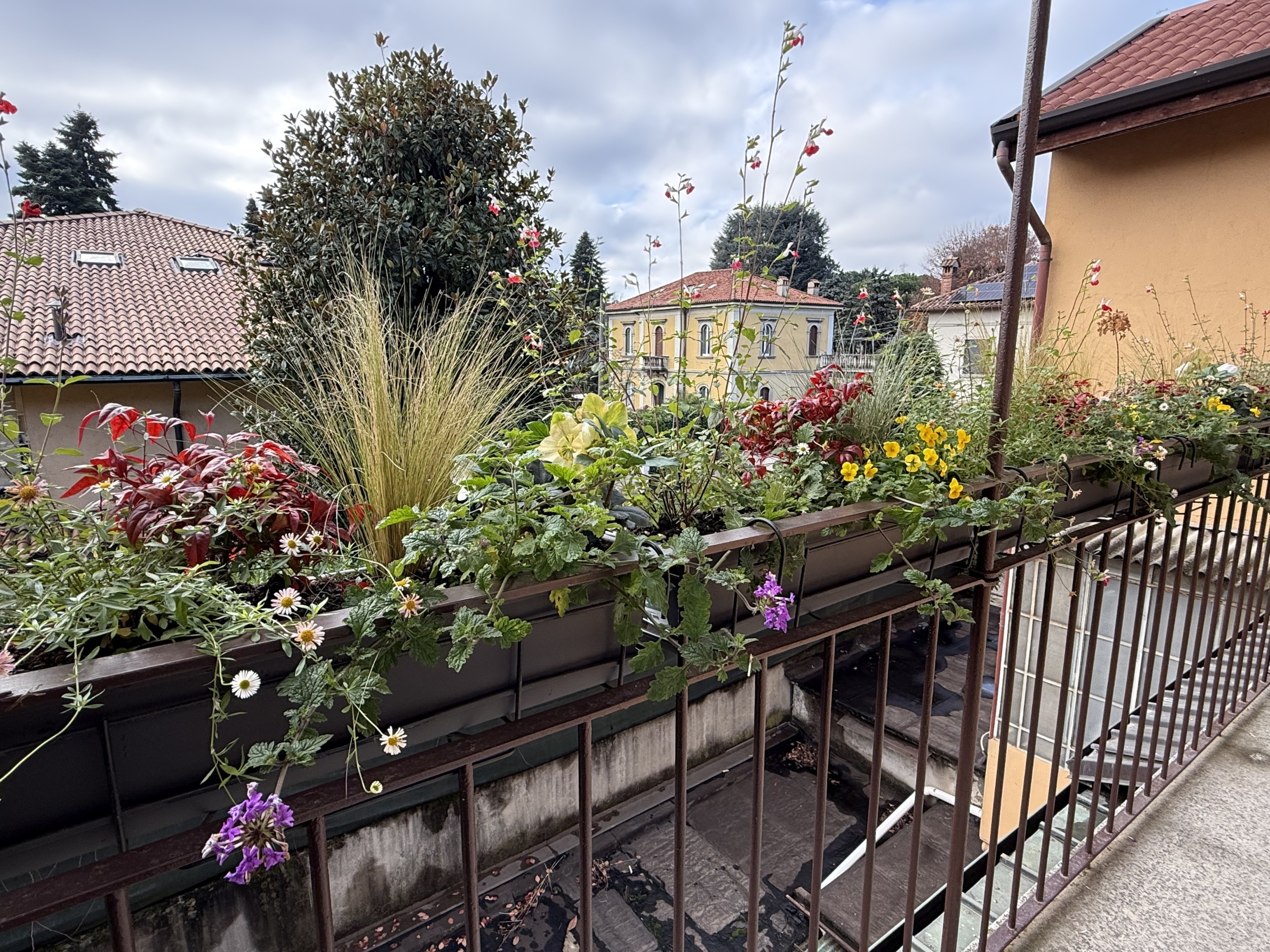 Trilocale ristrutturato in via giuseppe sirtori 1, Carate Brianza