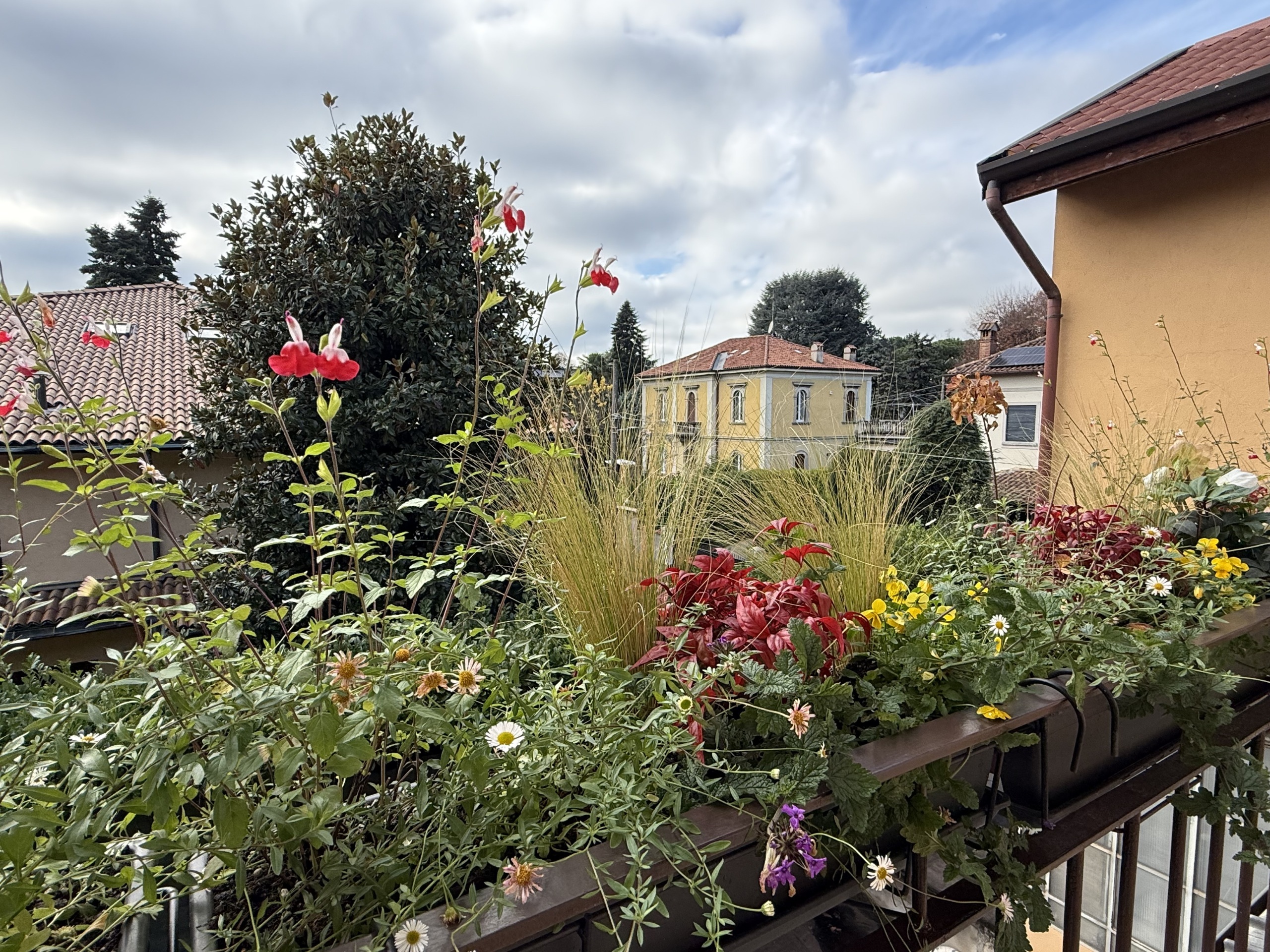 Trilocale ristrutturato in via giuseppe sirtori 1, Carate Brianza