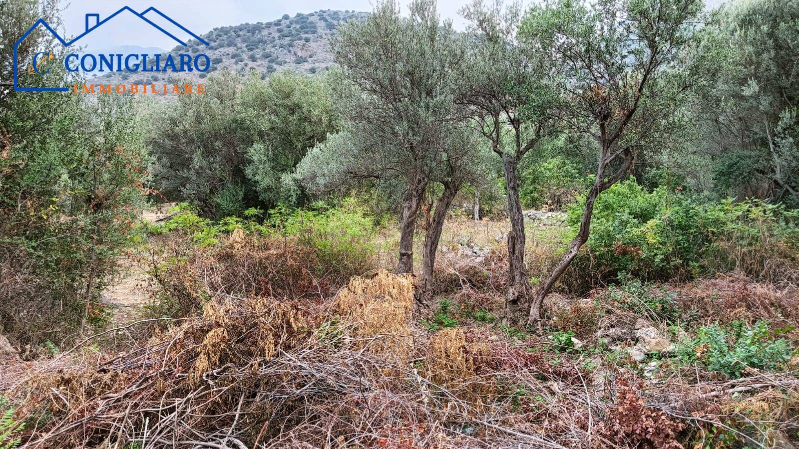 Terreno in vendita a Torretta