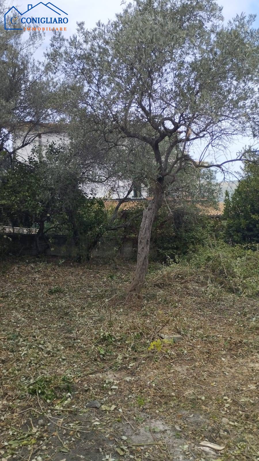 Rustico in vendita a Torretta