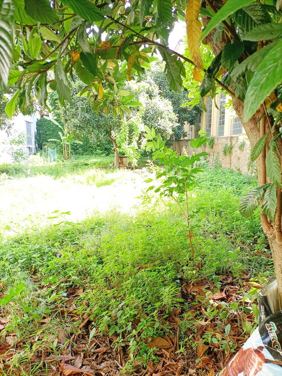 Locale commerciale in vendita a Milano, Romolo