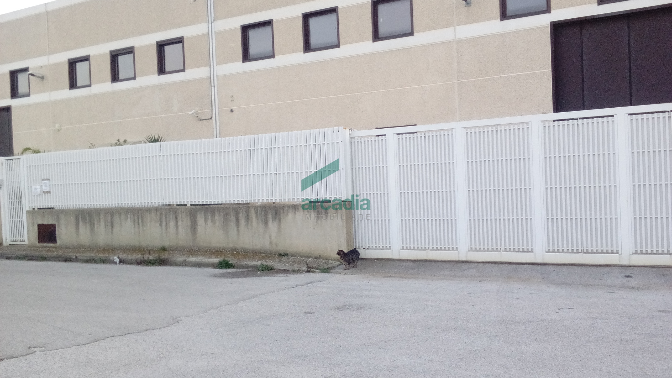 Capannone in affitto in via ii tratto e inizio statale 98 modugno 83/q, Modugno