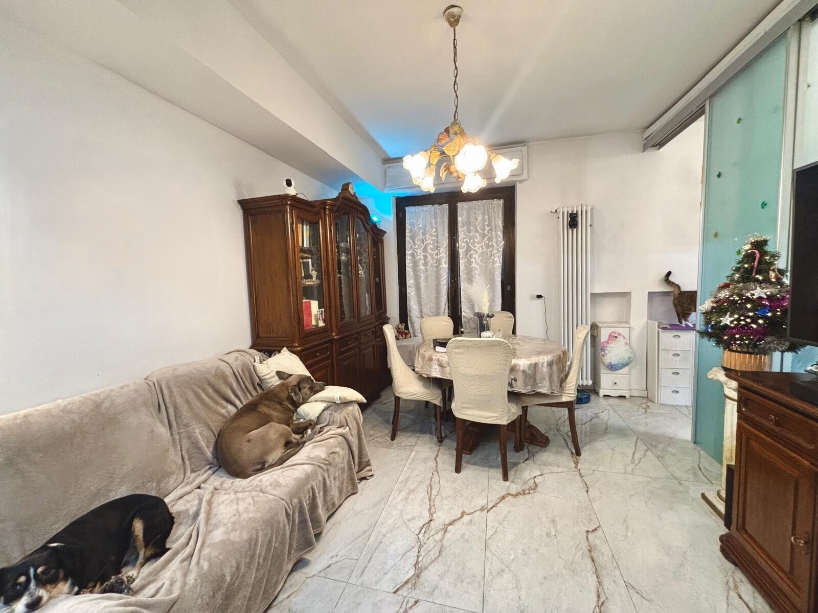 Trilocale con giardino a Cinisello Balsamo