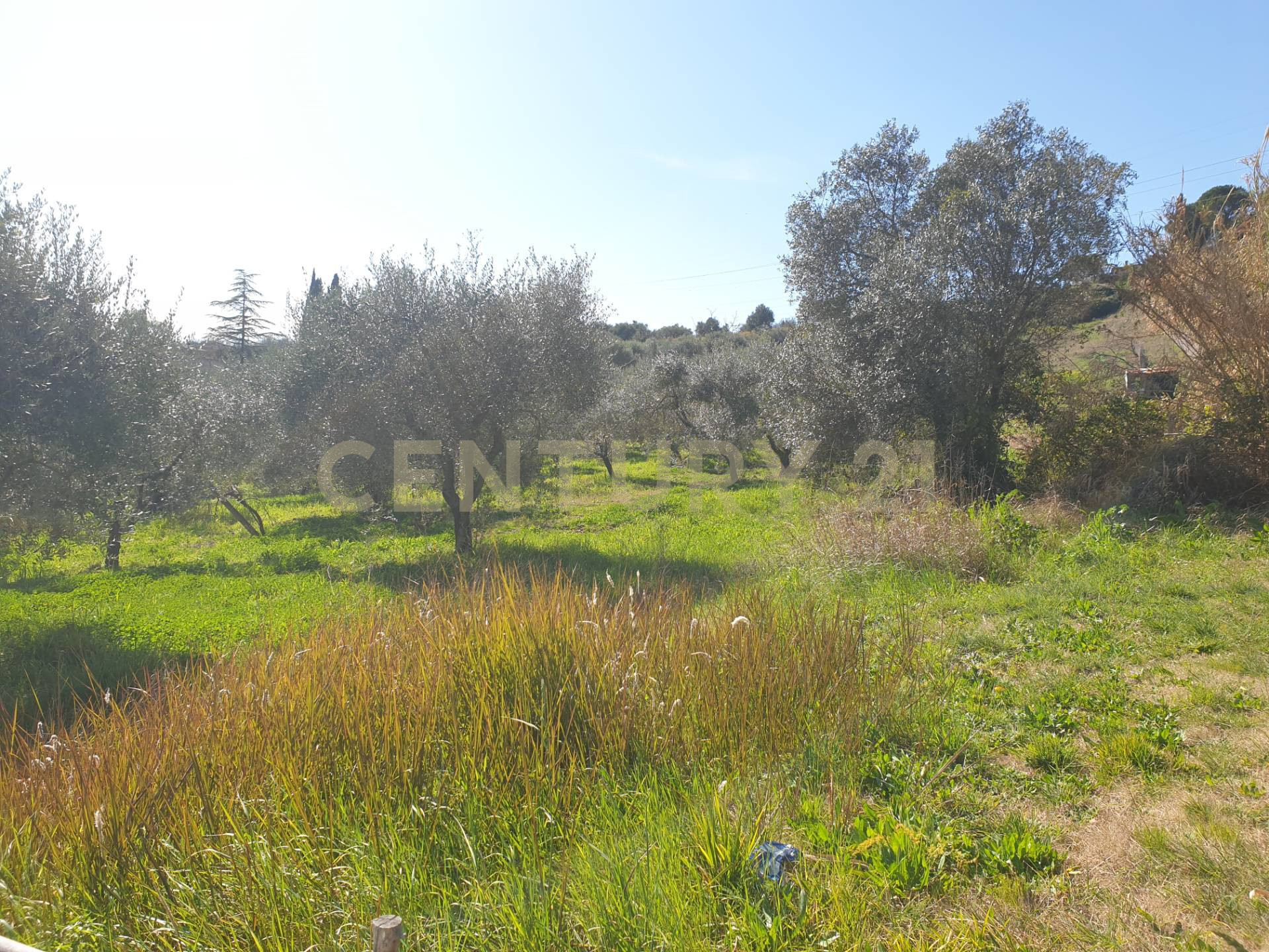 Terreno Agricolo in vendita in via del romitorio 71, Mentana