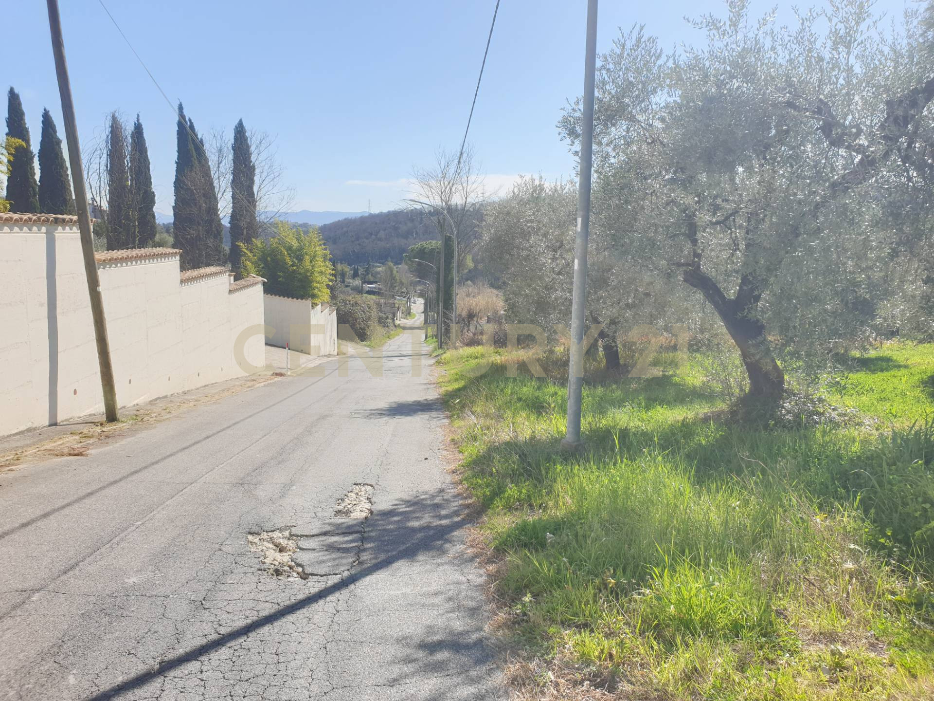 immagine annuncio 4 di 6