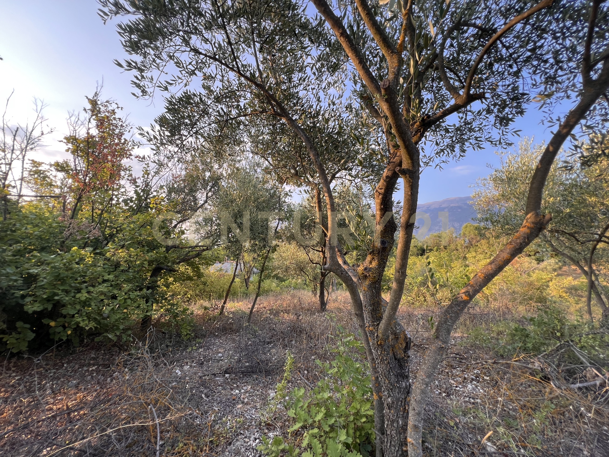 Terreno Agricolo in vendita in via acquasanta 27, Sulmona