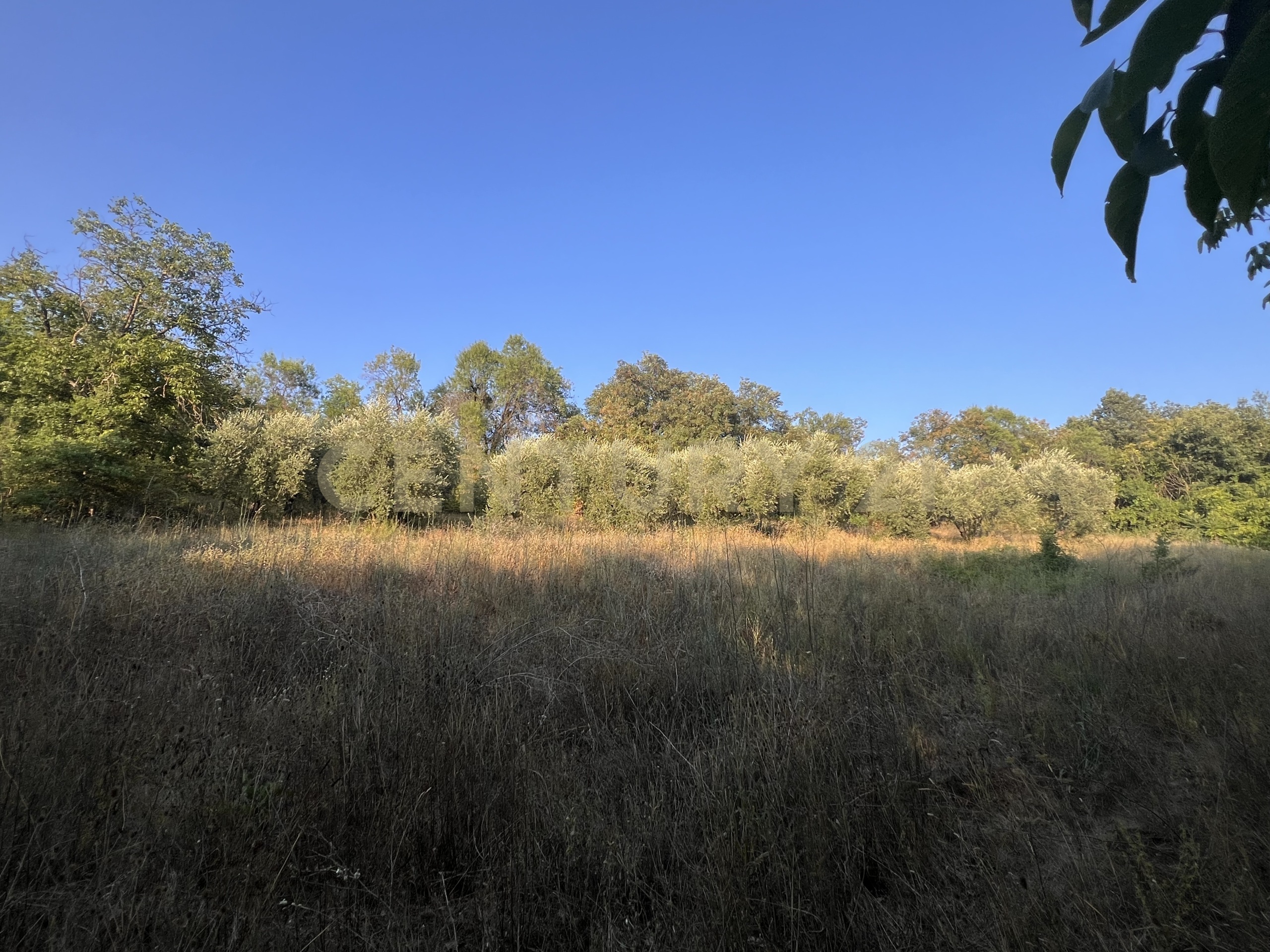 Terreno Agricolo in vendita in via acquasanta 27, Sulmona