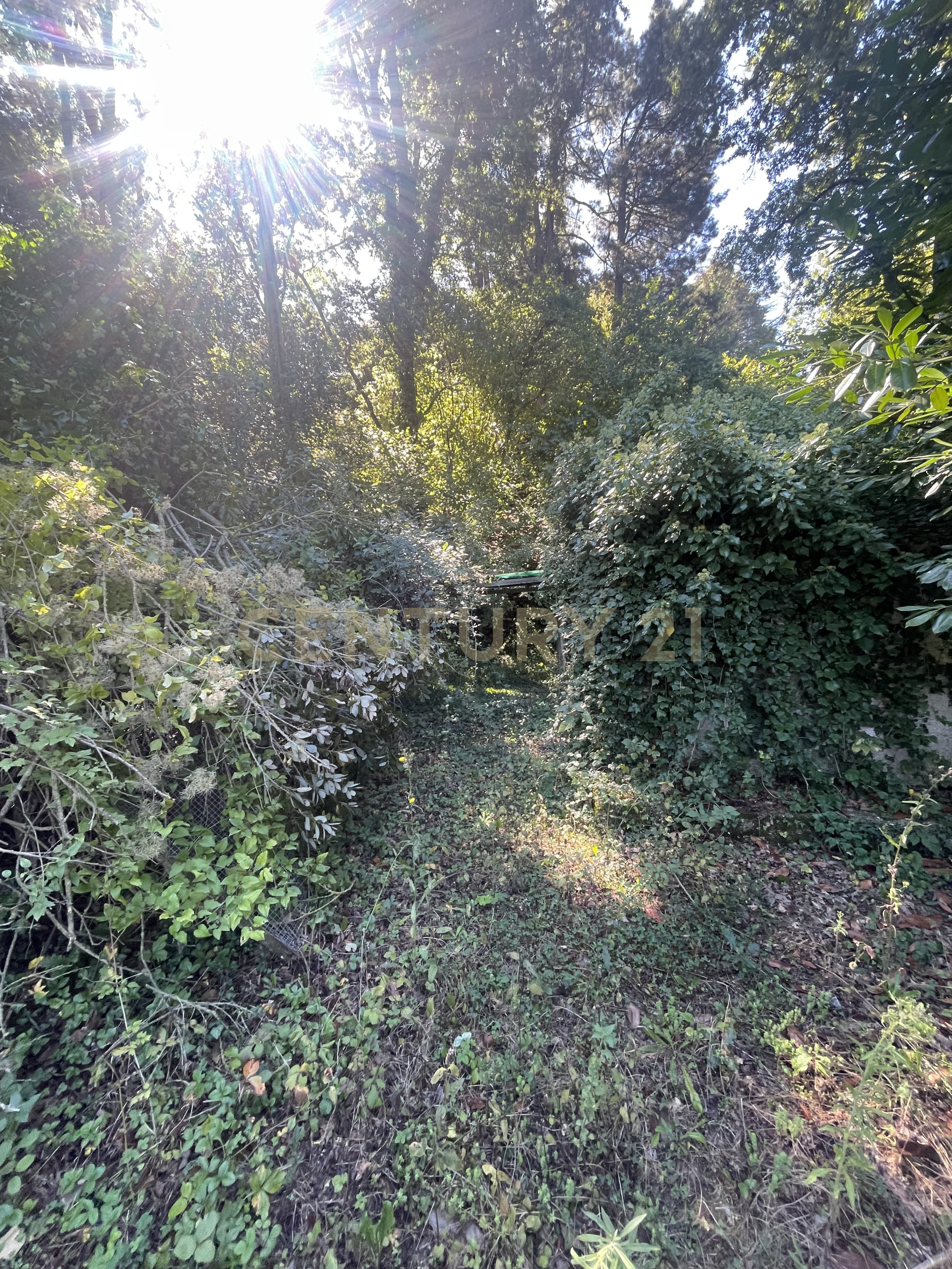 Casa indipendente con giardino in sp40 16, Bassano Romano