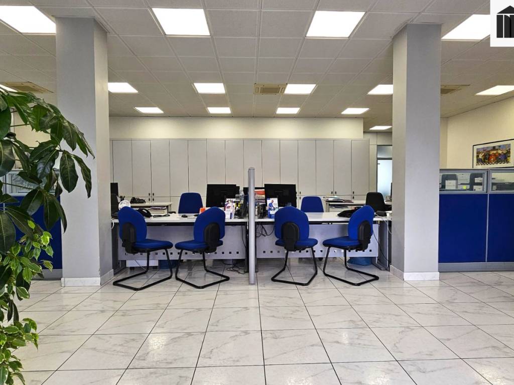 immagine annuncio 1 di 6