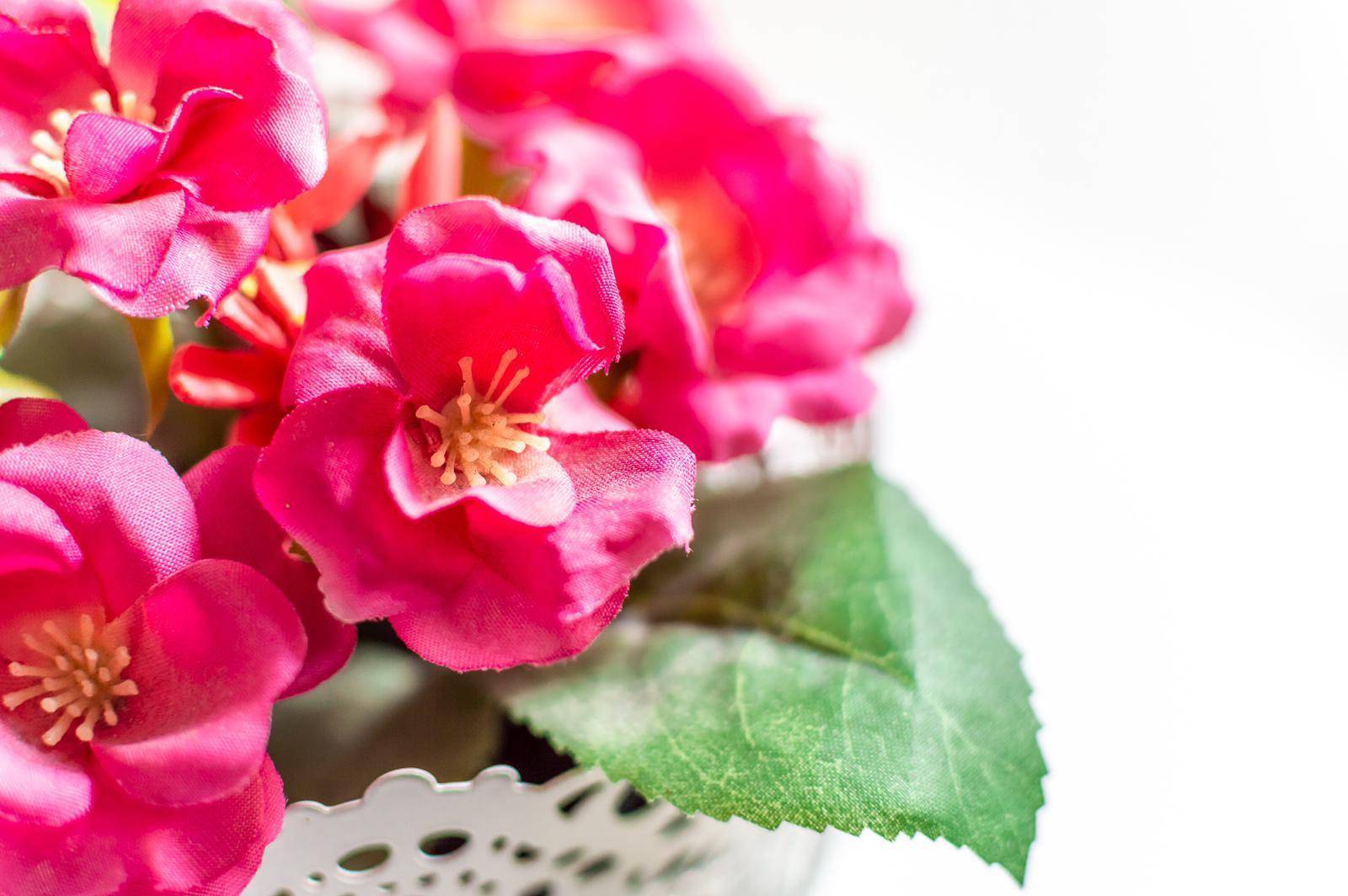 Appartamento in affitto a Firenze, Piazza Leopoldo