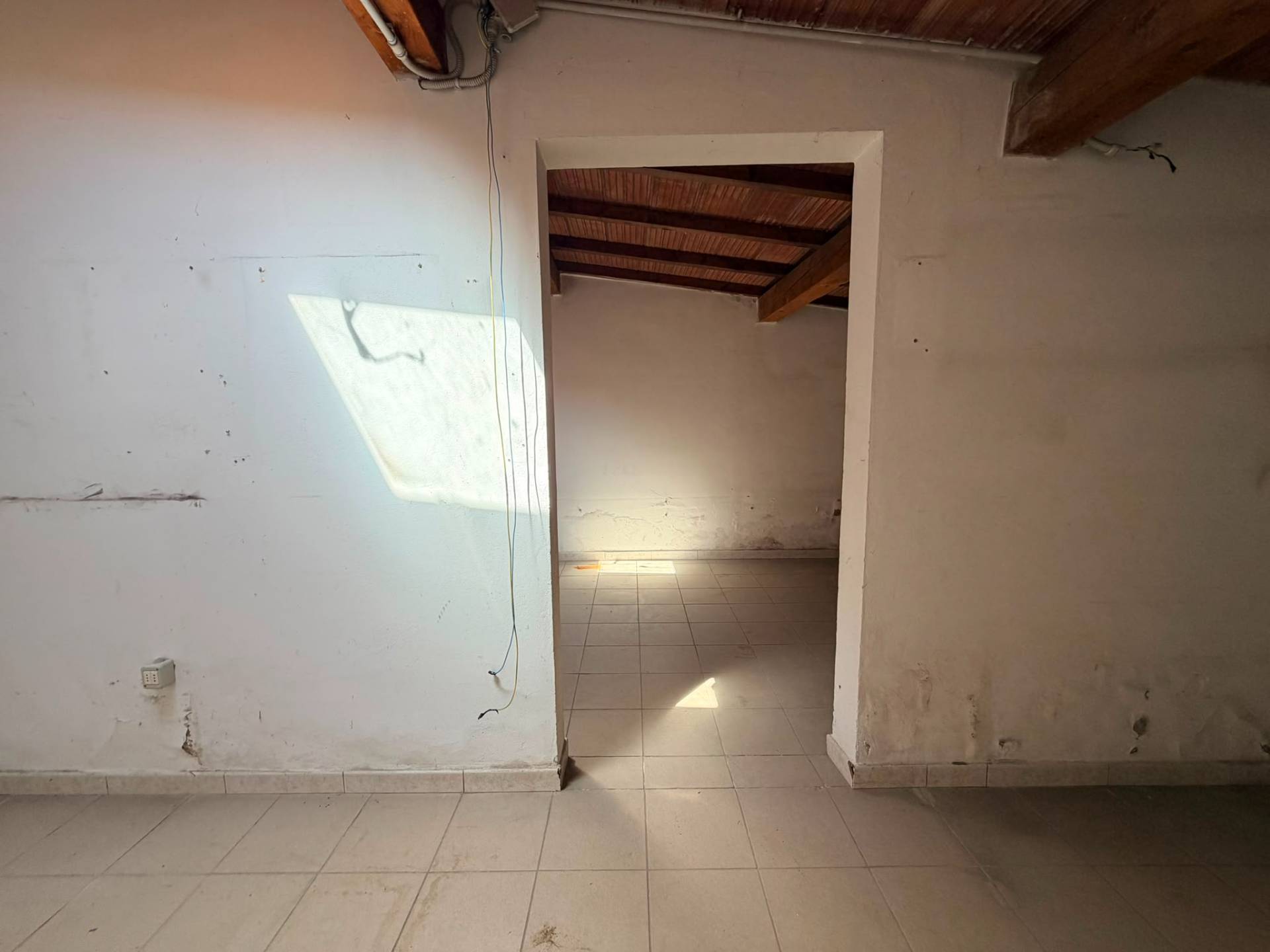 Locale commerciale in affitto a Firenze, Statuto