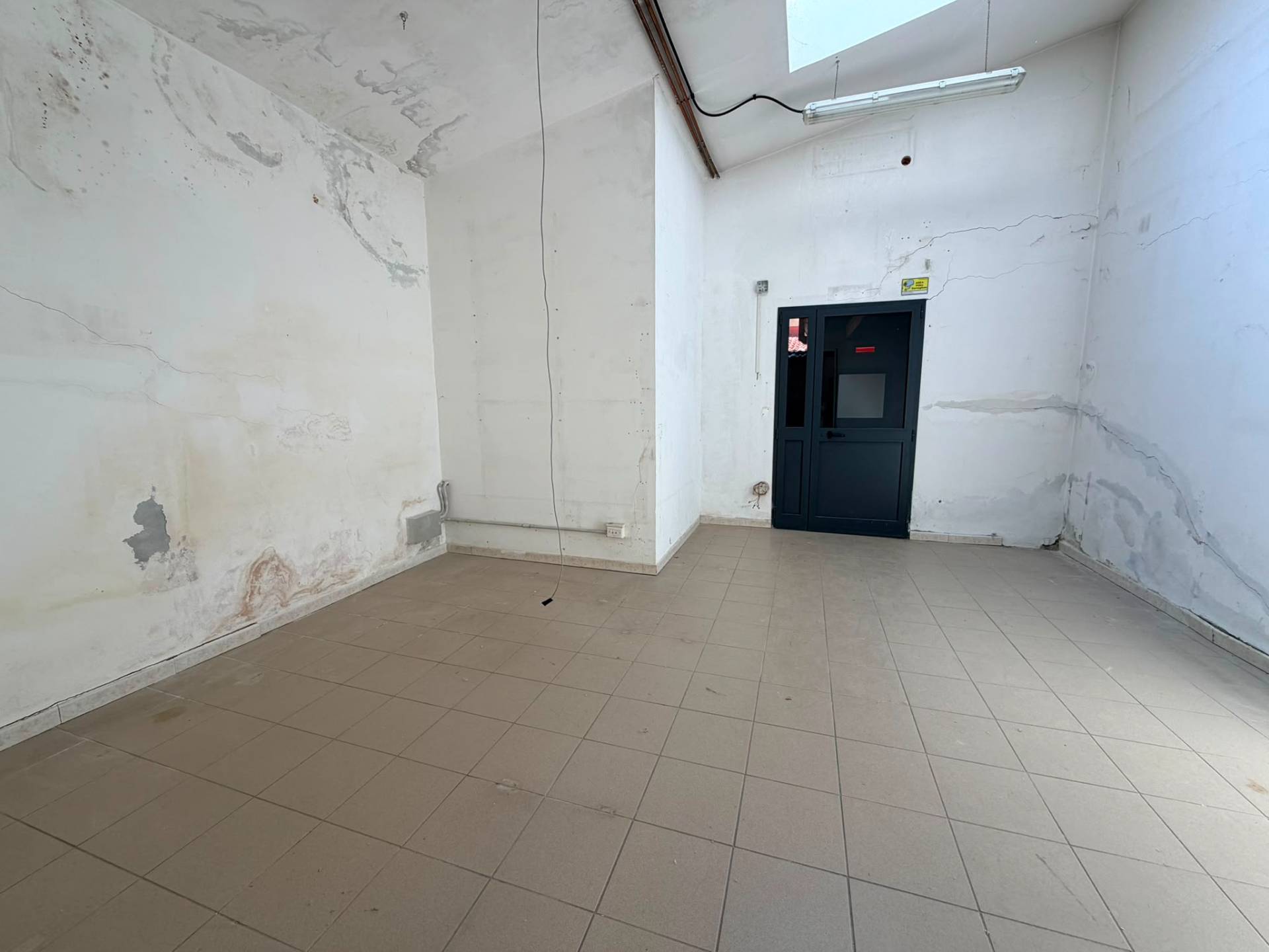 Locale commerciale in affitto a Firenze, Statuto
