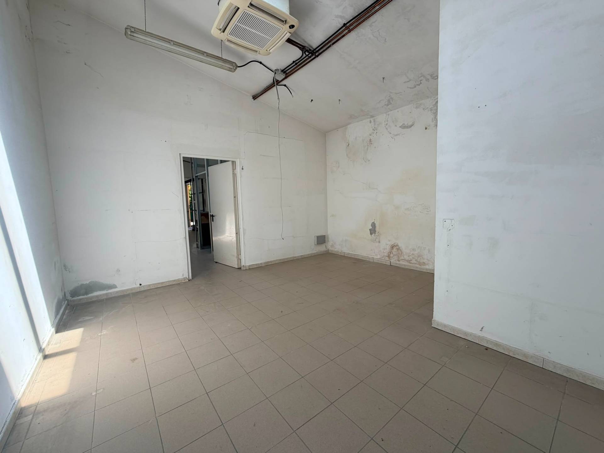 Locale commerciale in affitto a Firenze, Statuto