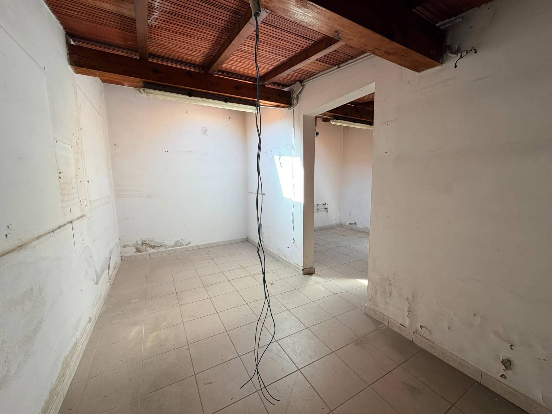 Locale commerciale in affitto a Firenze, Statuto