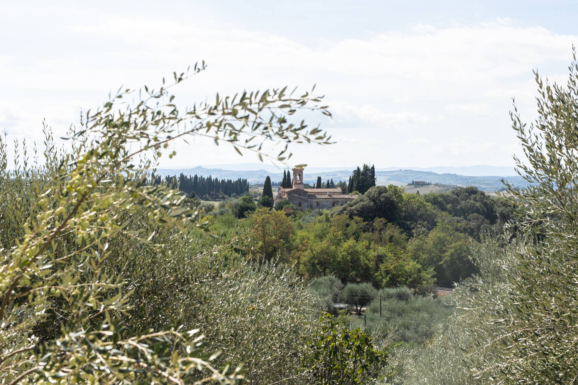 Casa singola in vendita a Rapolano Terme